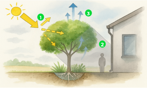 arbre climatiseur arbre climatiseur